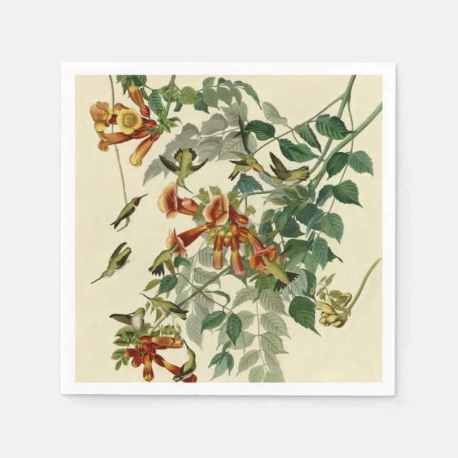 Hummingbird Ruby Throated Audubon Serviette (Vorderseite)