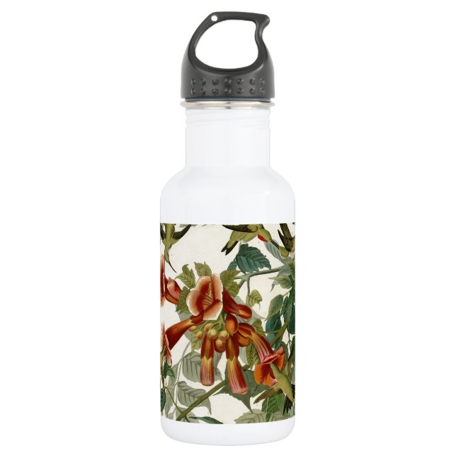 Hummingbird Ruby Throated Audubon Trinkflasche (Vorderseite)