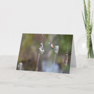 Hummingbird sammeln Cattail Notecard Karte