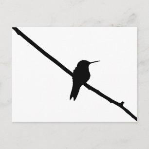 Hummingbird-Silhouette Postkarte