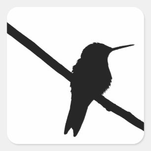 Hummingbird-Silhouette Quadratischer Aufkleber