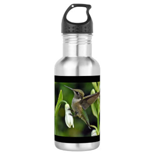 Hummingbird Stainless Steel Water Bottle Edelstahlflasche