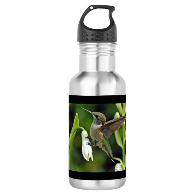 Hummingbird Stainless Steel Water Bottle Edelstahlflasche (Vorderseite)