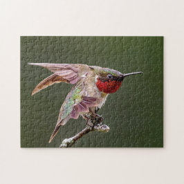 Hummingbird Stretches