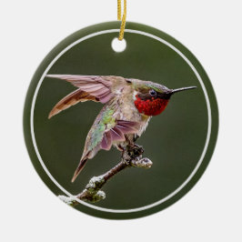 Hummingbird Stretches Keramik Ornament