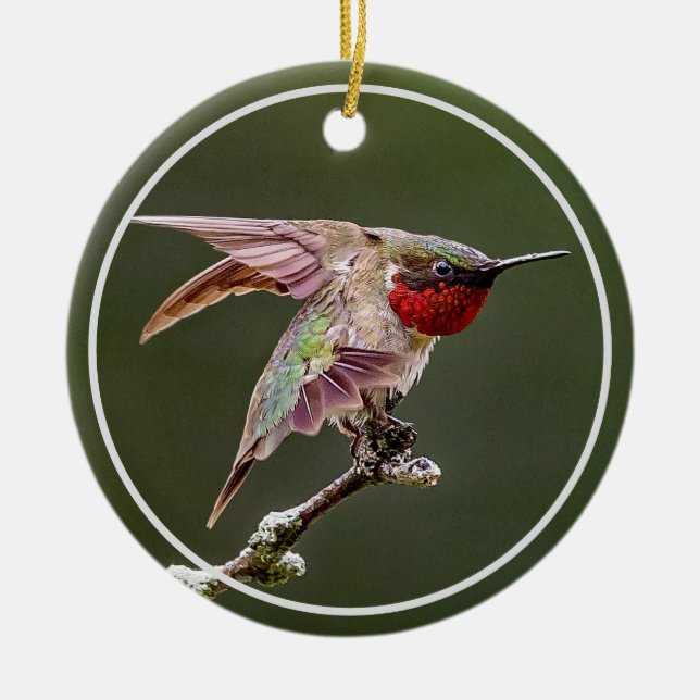 Hummingbird Stretches Keramik Ornament (Vorne)