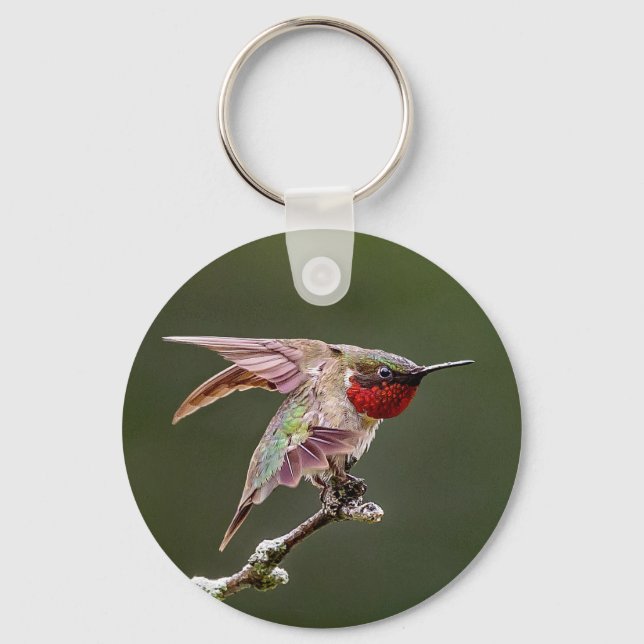 Hummingbird Stretches Schlüsselanhänger (Vorderseite)