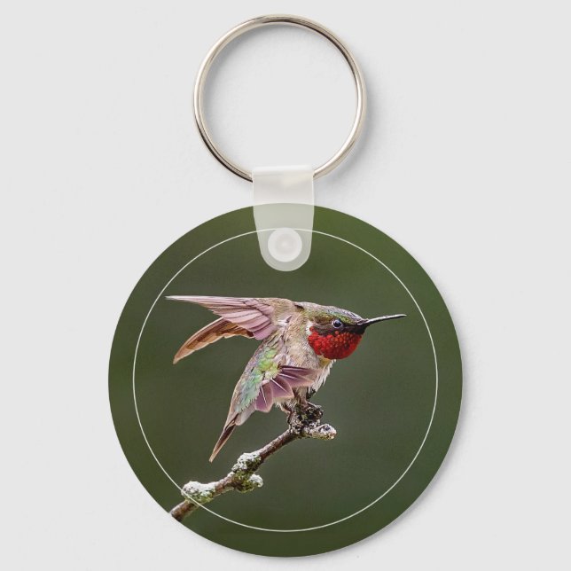 Hummingbird Stretches W/Border Schlüsselanhänger (Vorderseite)