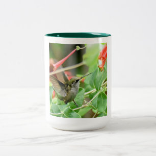 Hummingbird-Tasse Zweifarbige Tasse