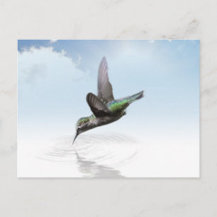Hummingbird taucht in eine Aquarellführung ein Postkarte