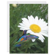 Hummingbird themed Scrapbook paper