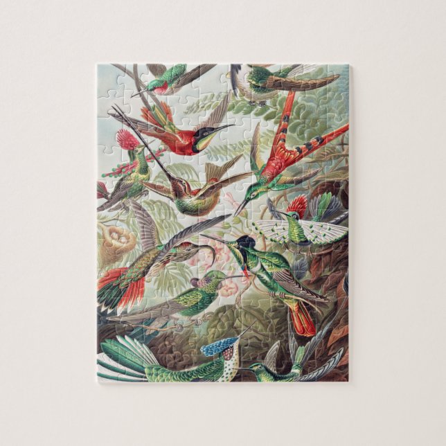 Hummingbird, Trochilidae Kolibris von Ernst Haecke (Vertikal)