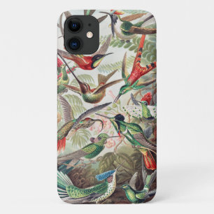Hummingbird, Trochilidae Kolibris von Ernst Haecke Case-Mate iPhone Hülle