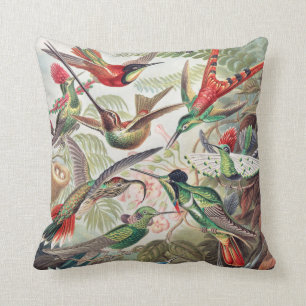 Hummingbird, Trochilidae Kolibris von Ernst Haecke Kissen