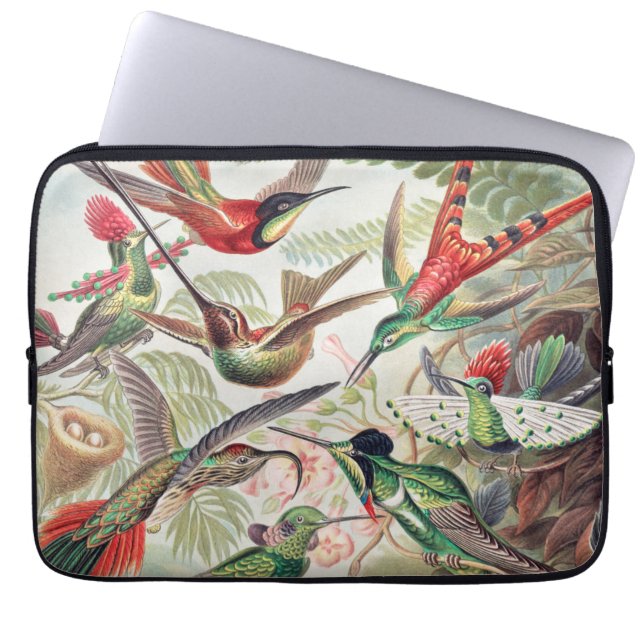 Hummingbird, Trochilidae Kolibris von Ernst Haecke Laptopschutzhülle (Vorderseite)