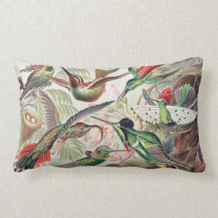 Hummingbird, Trochilidae Kolibris von Ernst Haecke Lendenkissen