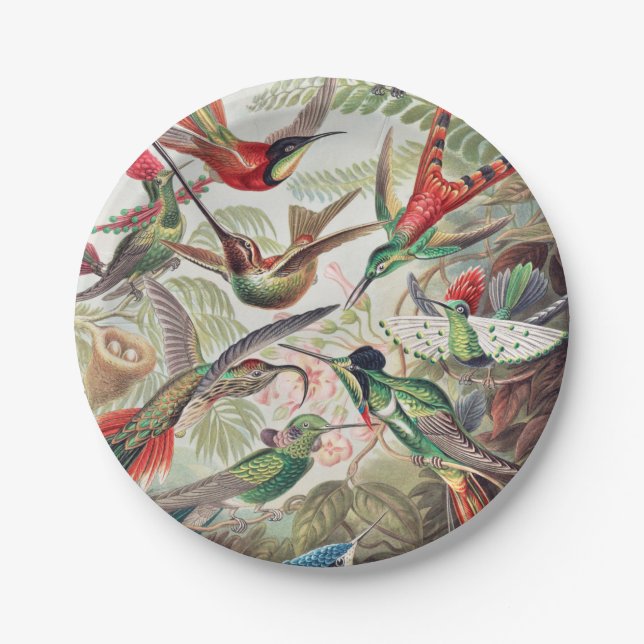 Hummingbird, Trochilidae Kolibris von Ernst Haecke Pappteller (Vorderseite)