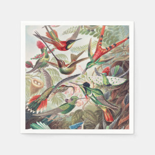 Hummingbird, Trochilidae Kolibris von Ernst Haecke Serviette