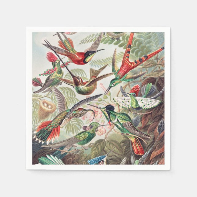 Hummingbird, Trochilidae Kolibris von Ernst Haecke Serviette (Vorderseite)