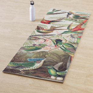 Hummingbird, Trochilidae Kolibris von Ernst Haecke Yogamatte
