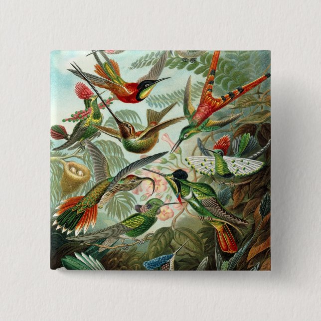 Hummingbird (Trochilidae) von Haeckel Button (Vorderseite)