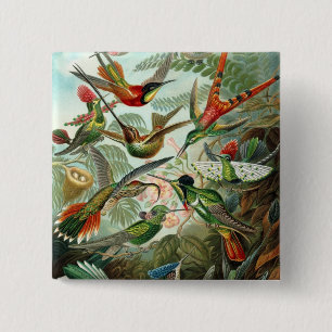 Hummingbird (Trochilidae) von Haeckel Button