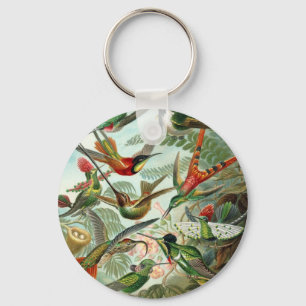 Hummingbird (Trochilidae) von Haeckel Schlüsselan Schlüsselanhänger