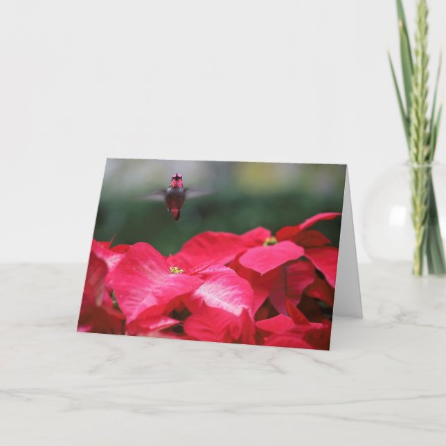 Hummingbird über Weihnachtspoinsettien Karte (Vorderseite)
