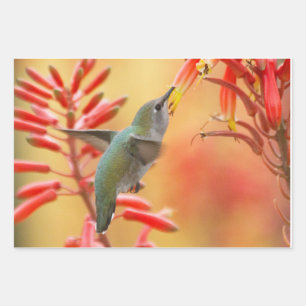 Hummingbird umgeben von rotem Yucca Geschenkpapier Set