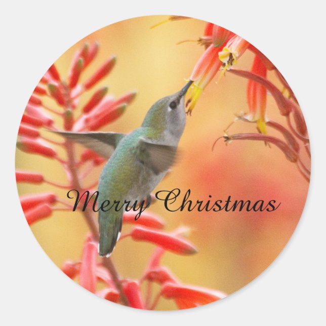 Hummingbird umgeben von Yucca, Frohe Weihnachten Runder Aufkleber (Vorderseite)