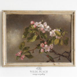 Hummingbird und Apple Blossom Vintage Malerei Poster