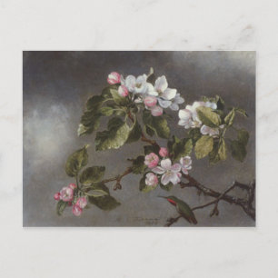 Hummingbird und Apple Blossoms Martin J. Heade Postkarte