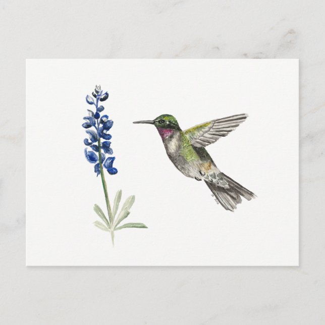 Hummingbird und Bluebonnet Postkarte (Vorderseite)