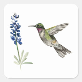 Hummingbird und Bluebonnet Quadratischer Aufkleber