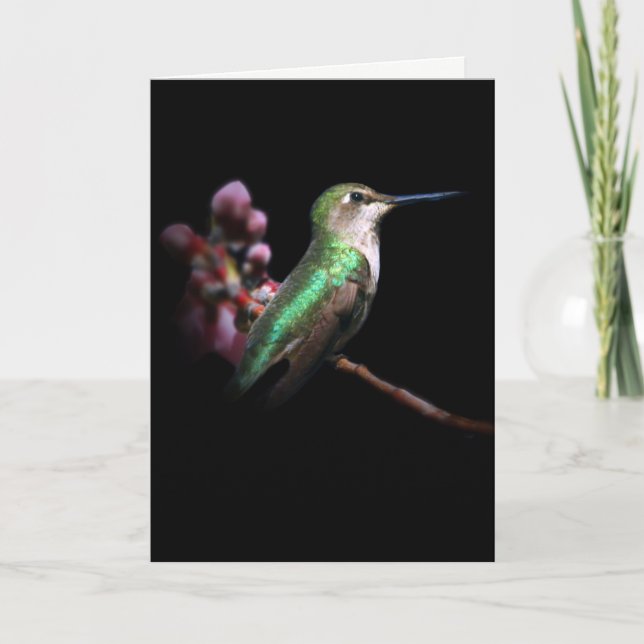 Hummingbird und Blume denken über Ihre Karte (Vorderseite)