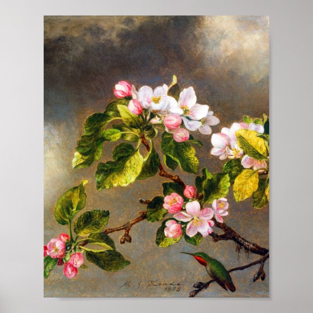 Hummingbird und Blüten von Martin Johnson Heade Poster (Vorne)