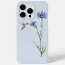 Hummingbird und Cornflower