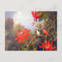 Hummingbird und Passiflora von Martin Johnson Head