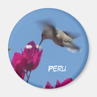 Hummingbird von Peru Magnet