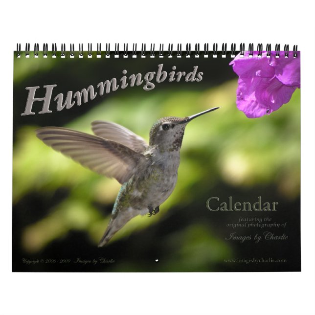 Hummingbird Wall Calendar Kalender (Titelbild)