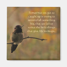 Hummingbird Warme Farben Inspiration Zitat