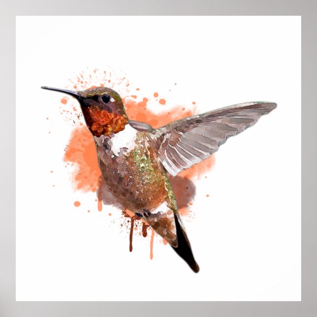 Hummingbird Wasserfarbenmalerei Poster (Vorne)