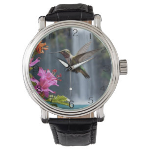 Hummingbird Waterfall Park, Montres
