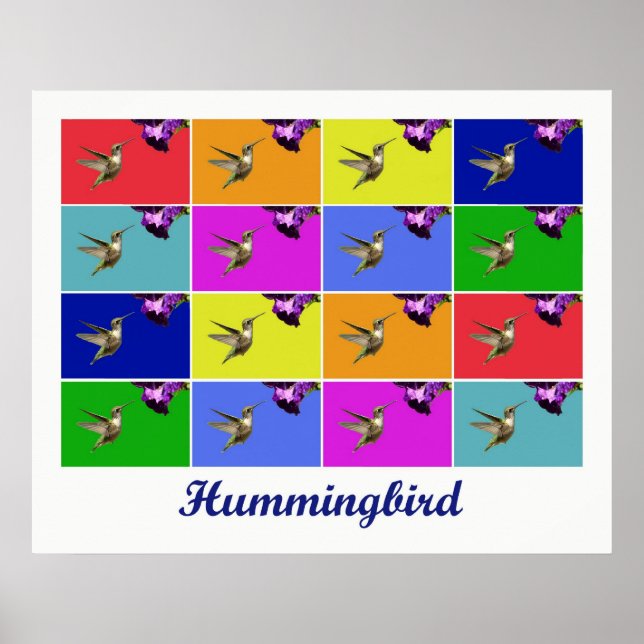 Hummingbird x16 (Titled) Poster (Vorne)