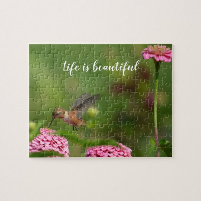Hummingbird Zinnia Blume Garden (Horizontal)