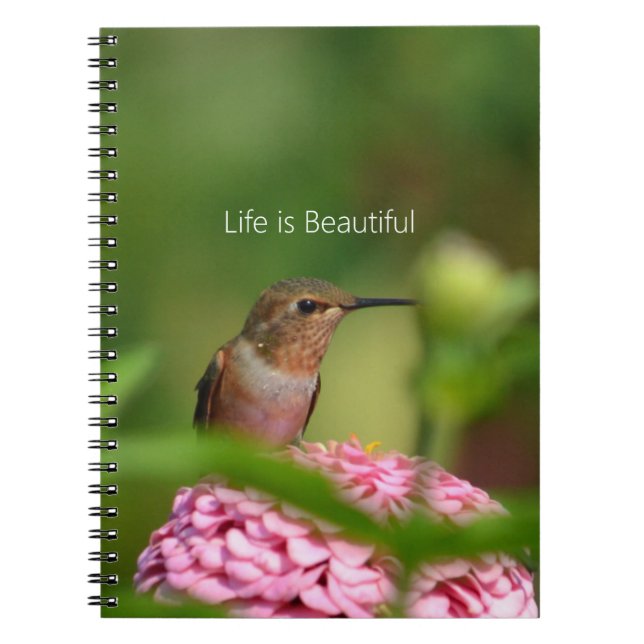 Hummingbird Zinnia Flower Garden (my photography) Notizblock (Vorderseite)