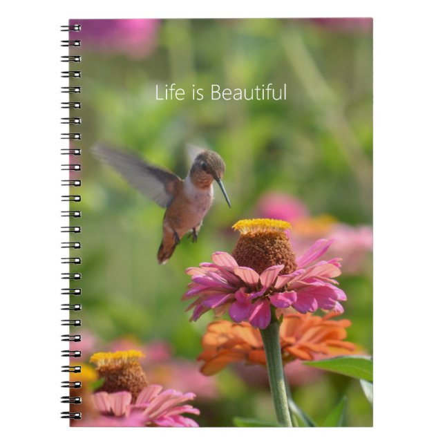 Hummingbird Zinnia Flowers (my photography) Notizblock (Vorderseite)