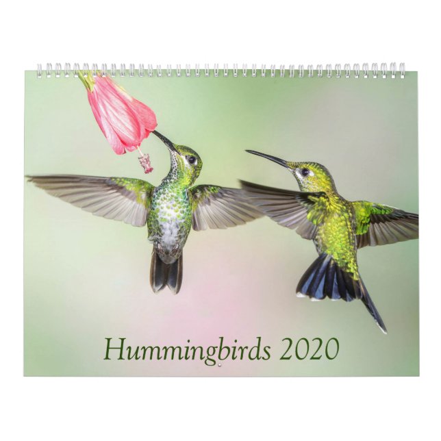 Hummingbirds 2020 Schöner Foto Kalender (Titelbild)