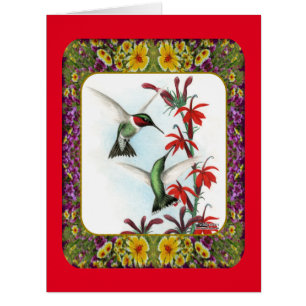 Hummingbirds and Flowers #5