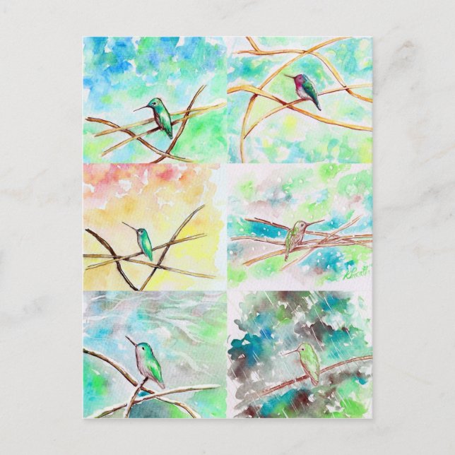Hummingbirds Aquarellbilder Postkarte (Vorderseite)